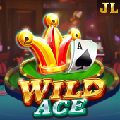 Wild Ace - Phlwim Slot Game
